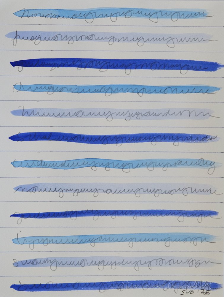  Non Sibi 4, 2025  Mixed media on paper  12 x 9 inches 
 