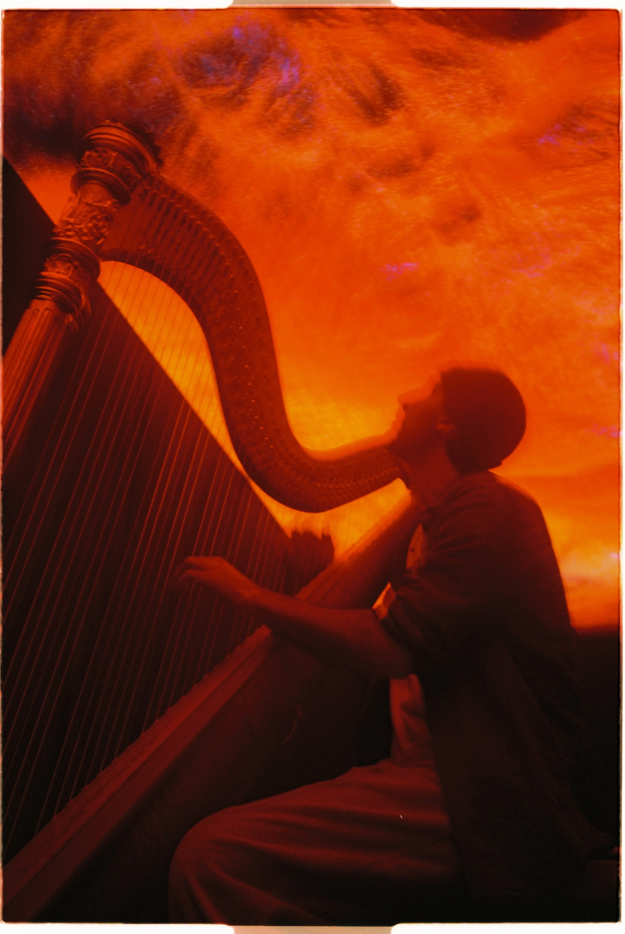 R1-02850-025A (1).JPG