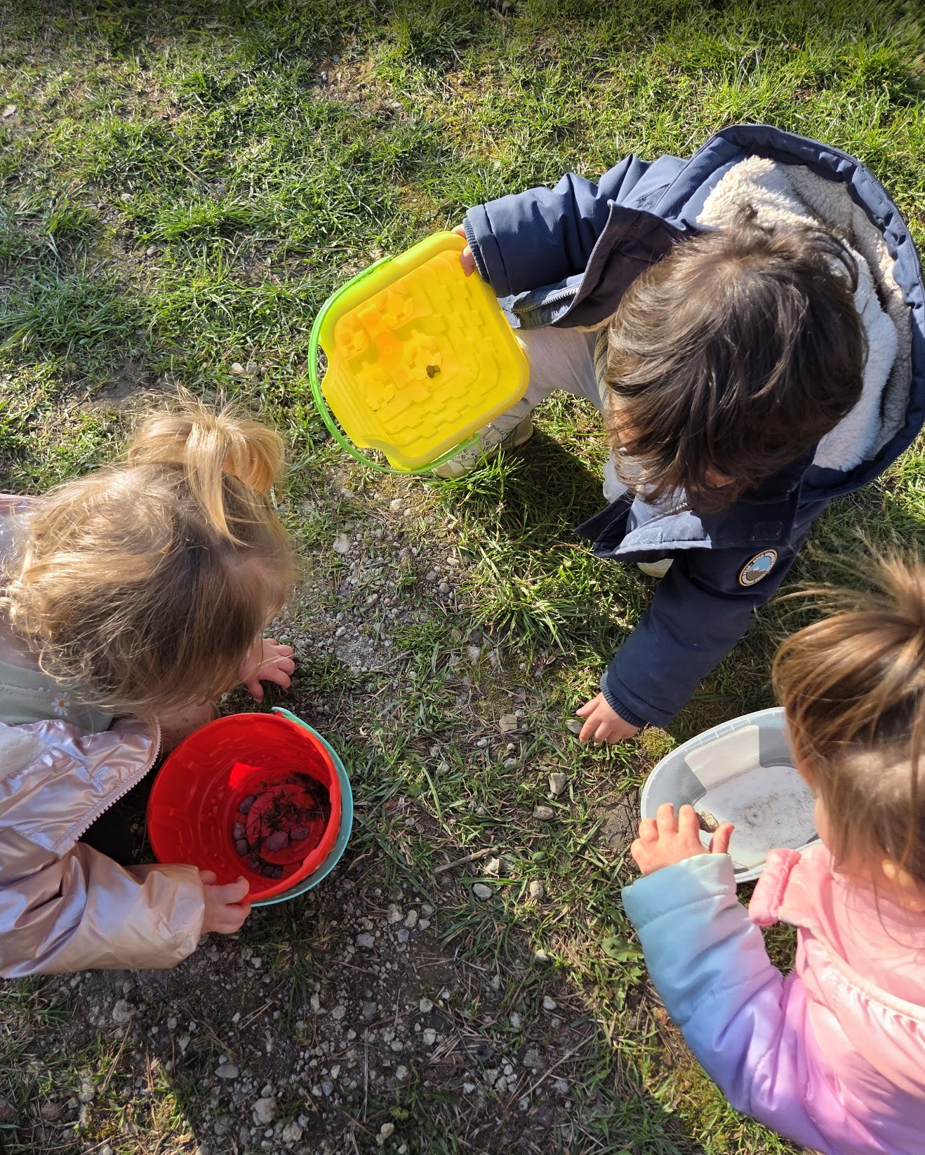 Children gather around outdoors, examining the ground with buckets, exploring nature.