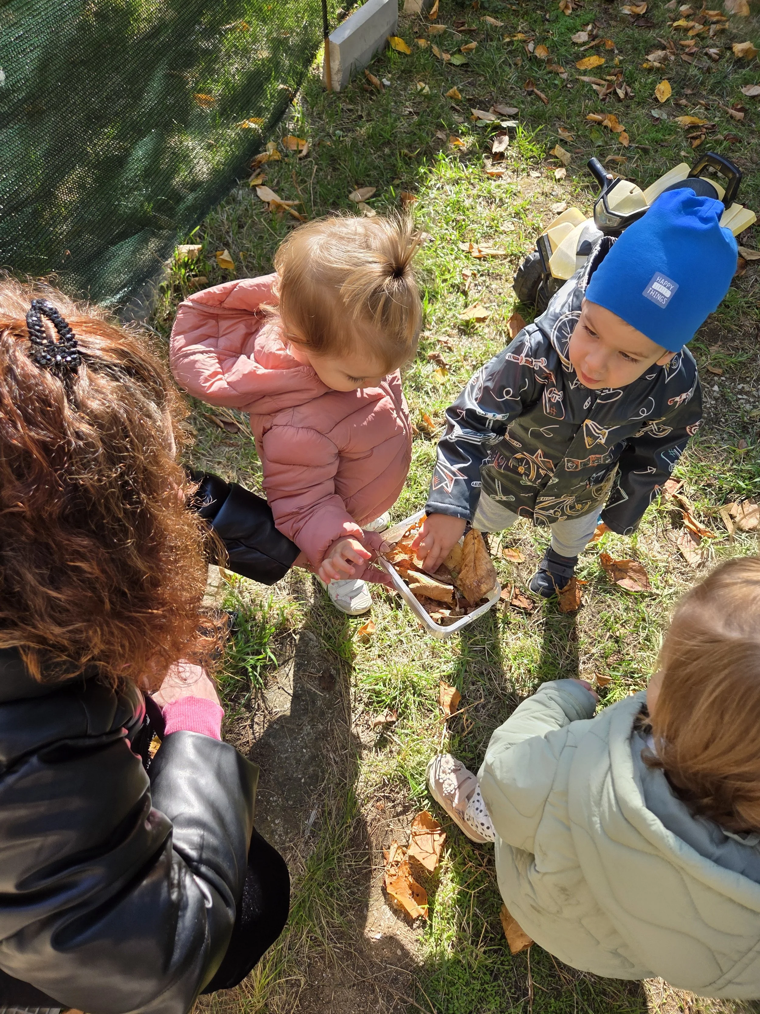 Four children and an adult are outside, gathered around a small container with fallen leaves. The children are dressed warmly, indicating cool weather, and one child is wearing a blue hat. There is a toy vehicle on the ground nearby.