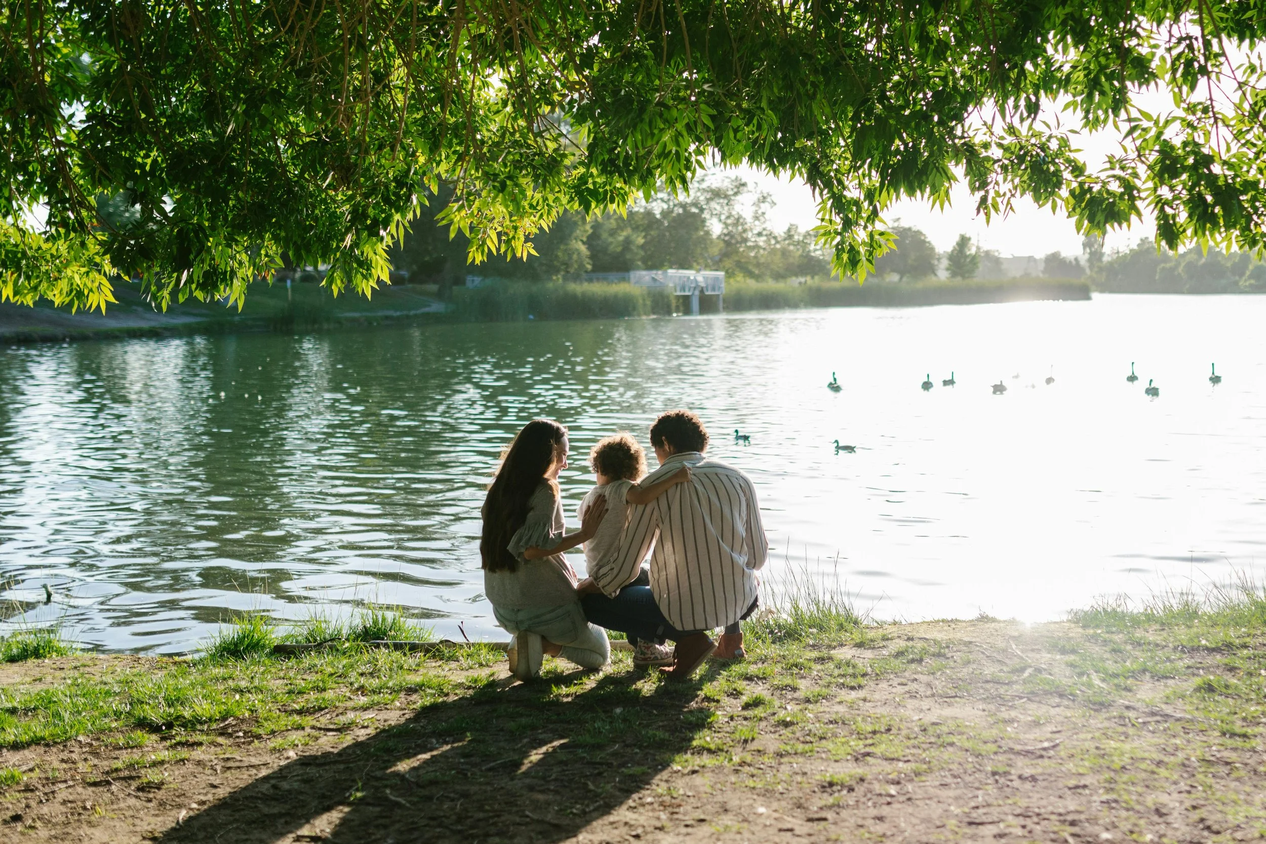 A family of three, consisting of a mother, father, and child, sitting by a lake in the late afternoon with ducks swimming on the water. They are under a large tree, enjoying the scenery.