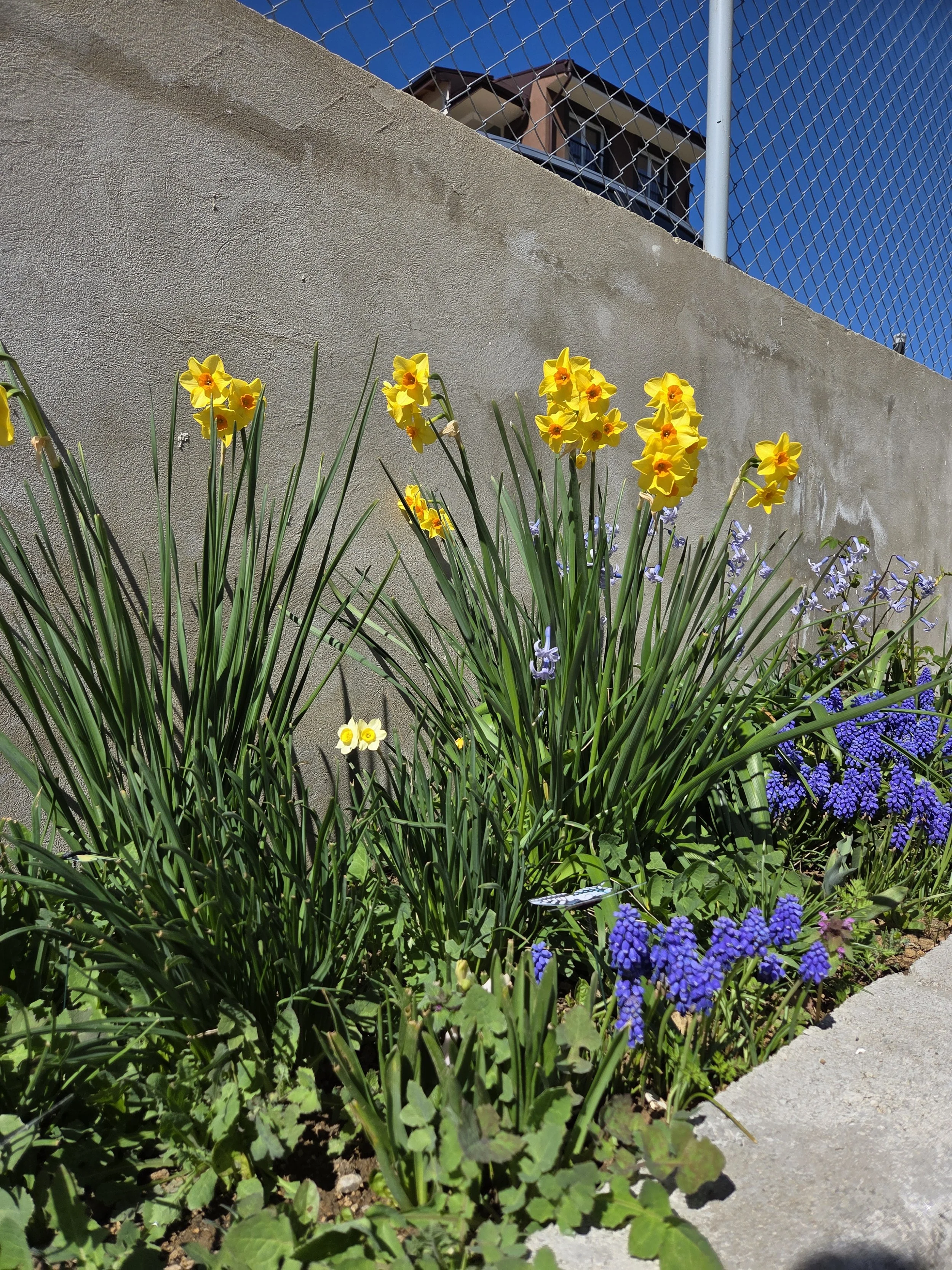 20260406_151551.jpg
