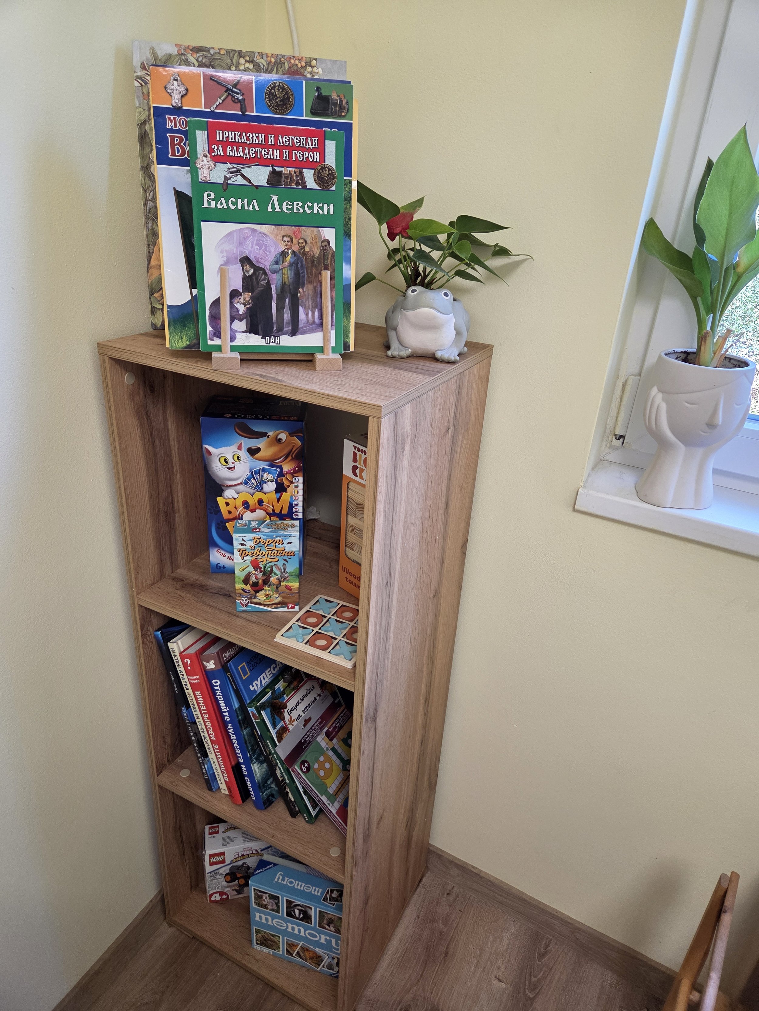 A wooden bookshelf with books and board games, a frog-shaped planter with a plant, and a small potted plant on the window sill.