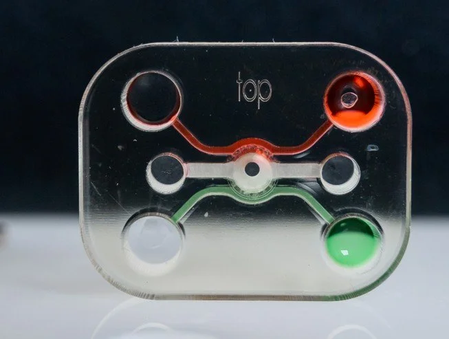 Organ-on-a-Chip Platforms