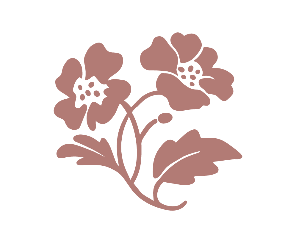 Stylized illustration of two flowers with pink petals and dark centers, accompanied by leaves, set against a black background.