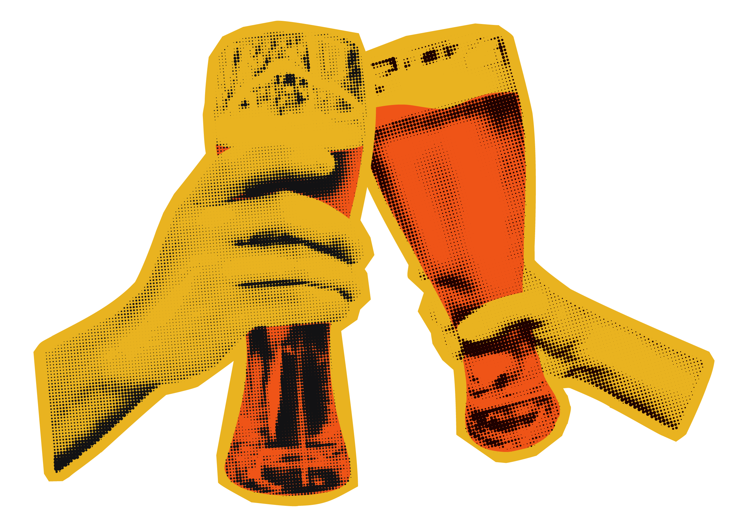 hands holding beer glasses cheers