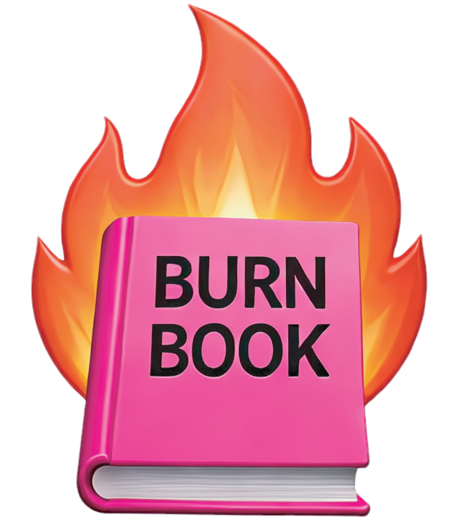 pink "burn book" on fire