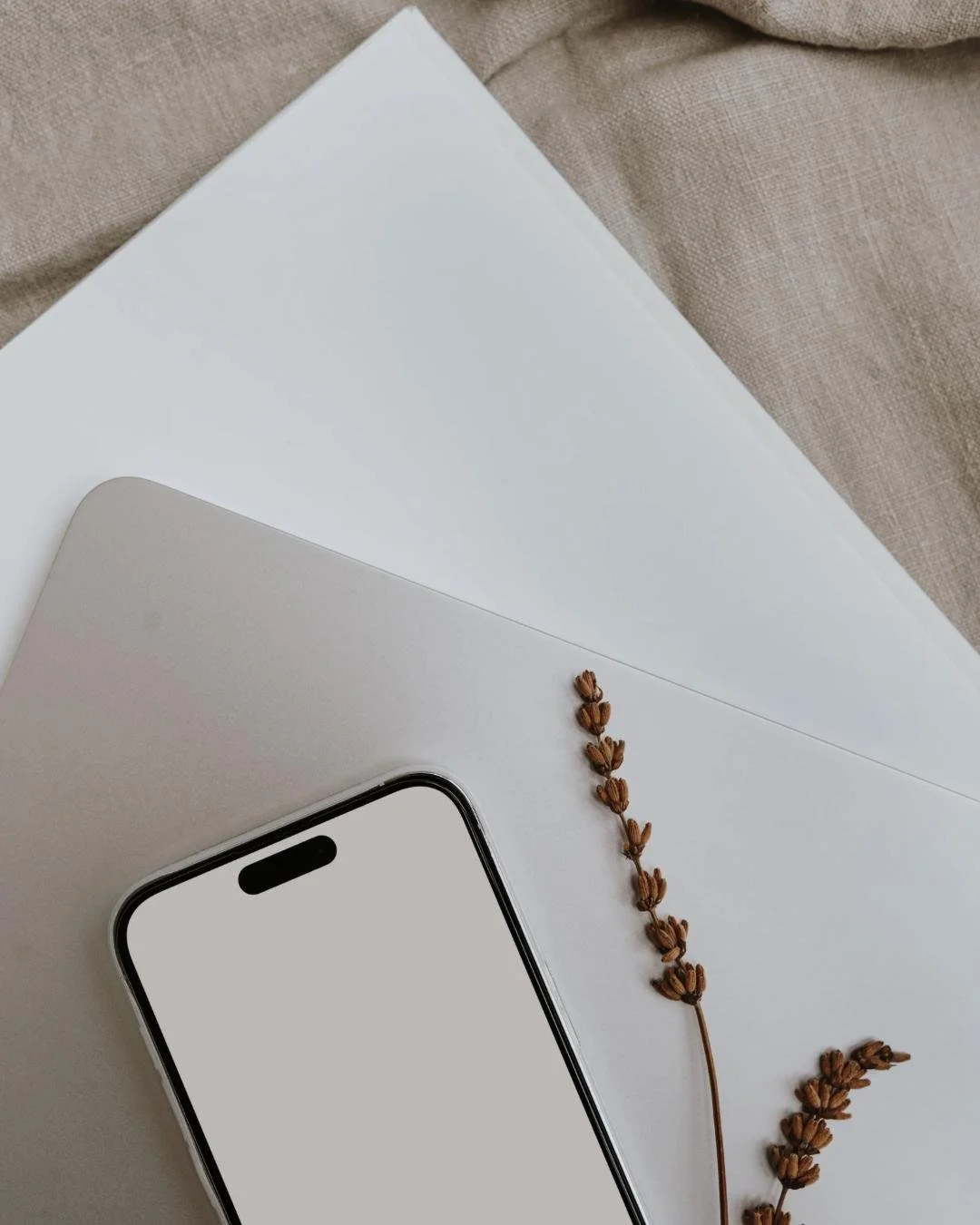 Flat lay of a smartphone with a blank white screen, a closed silver laptop, a piece of beige fabric, and two sprigs of small brown flowers on white paper.