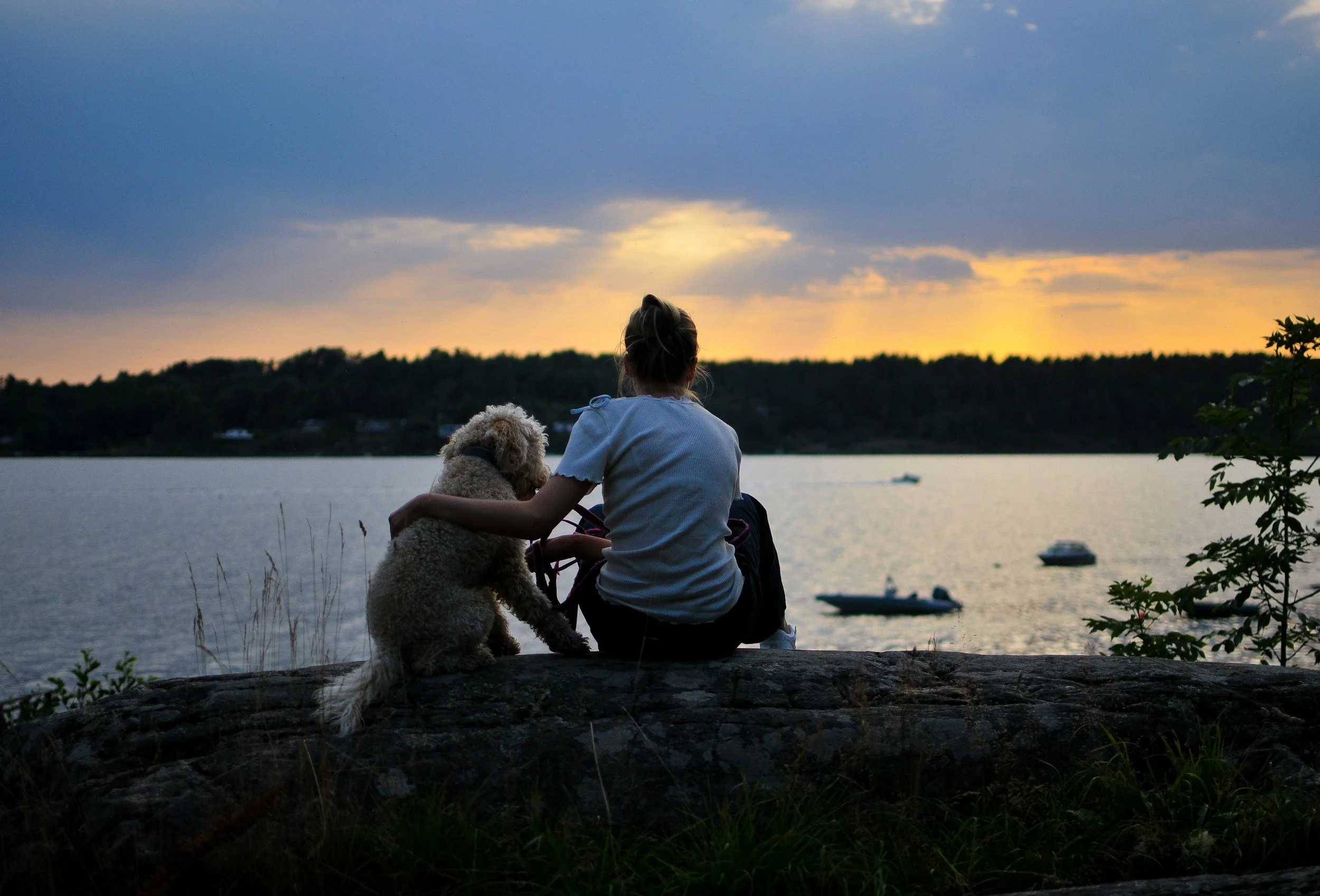 Woman sitting with her dog overlooking a peaceful lake, representing calm and emotional support