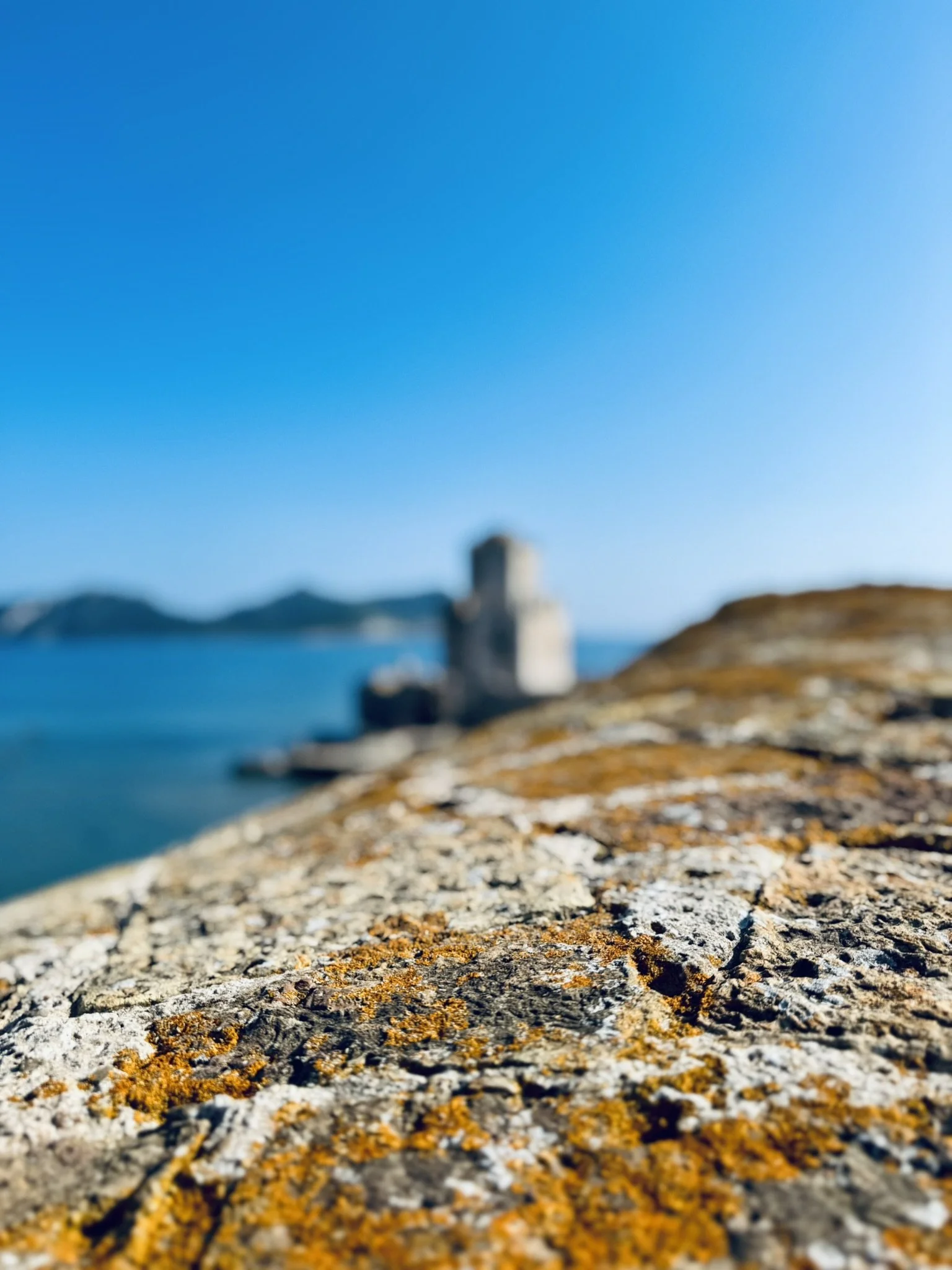 Makroaufnahme einer felsigen Oberfläche mit orangefarbener Flechte, unscharfer Hintergrund mit einer Burg am Wasser und blauer Himmel.