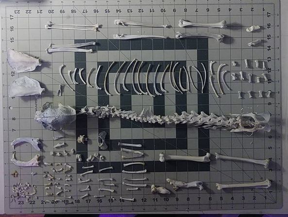 Screenshot 2026-03-06 132503.png