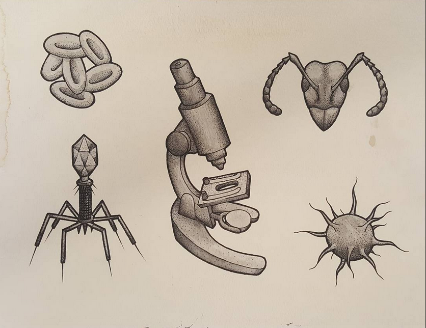 Screenshot 2026-03-06 131648.png