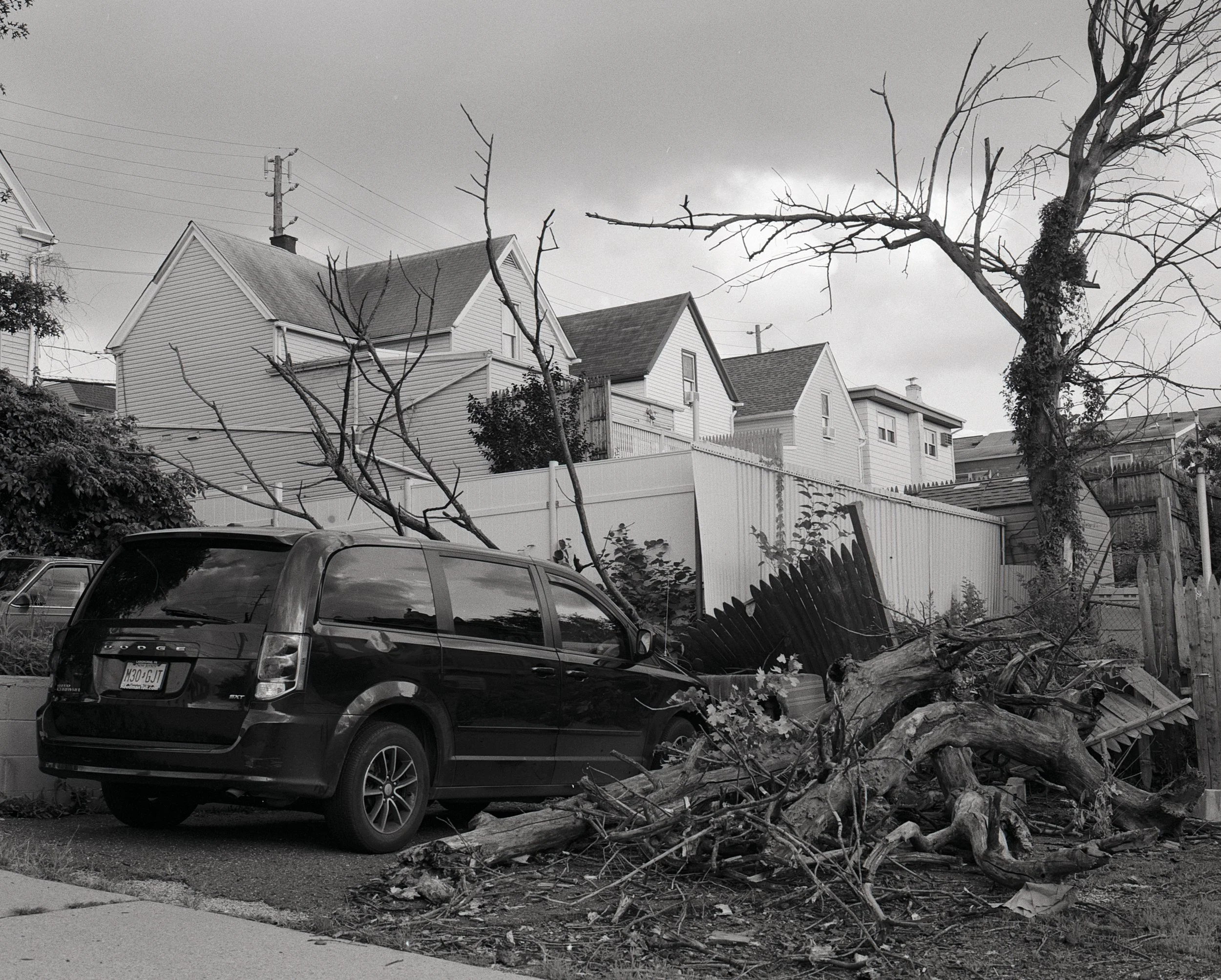 180921_UnionCity_Tree_005.jpg