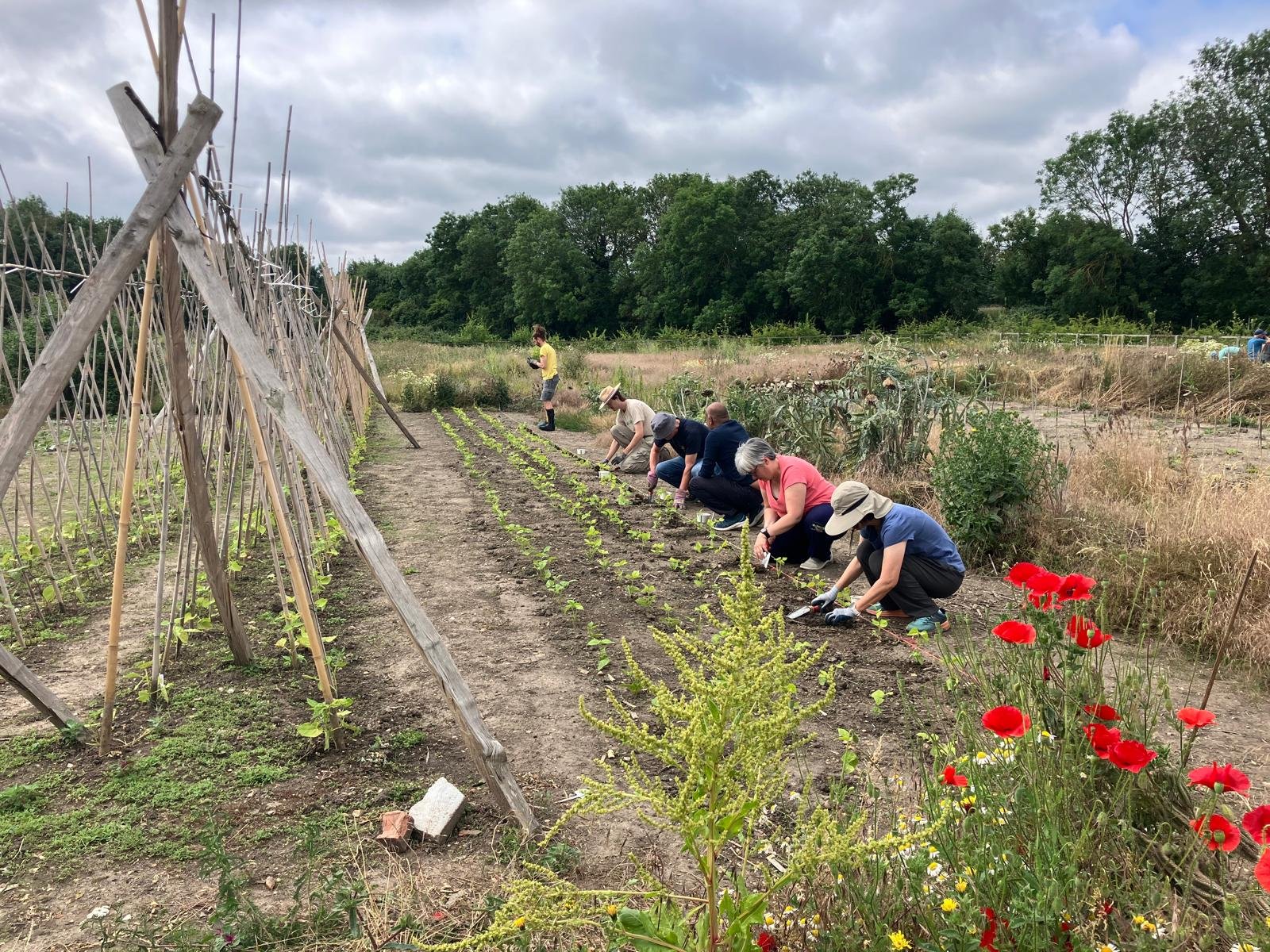 We did it! Seeds are in the ground.