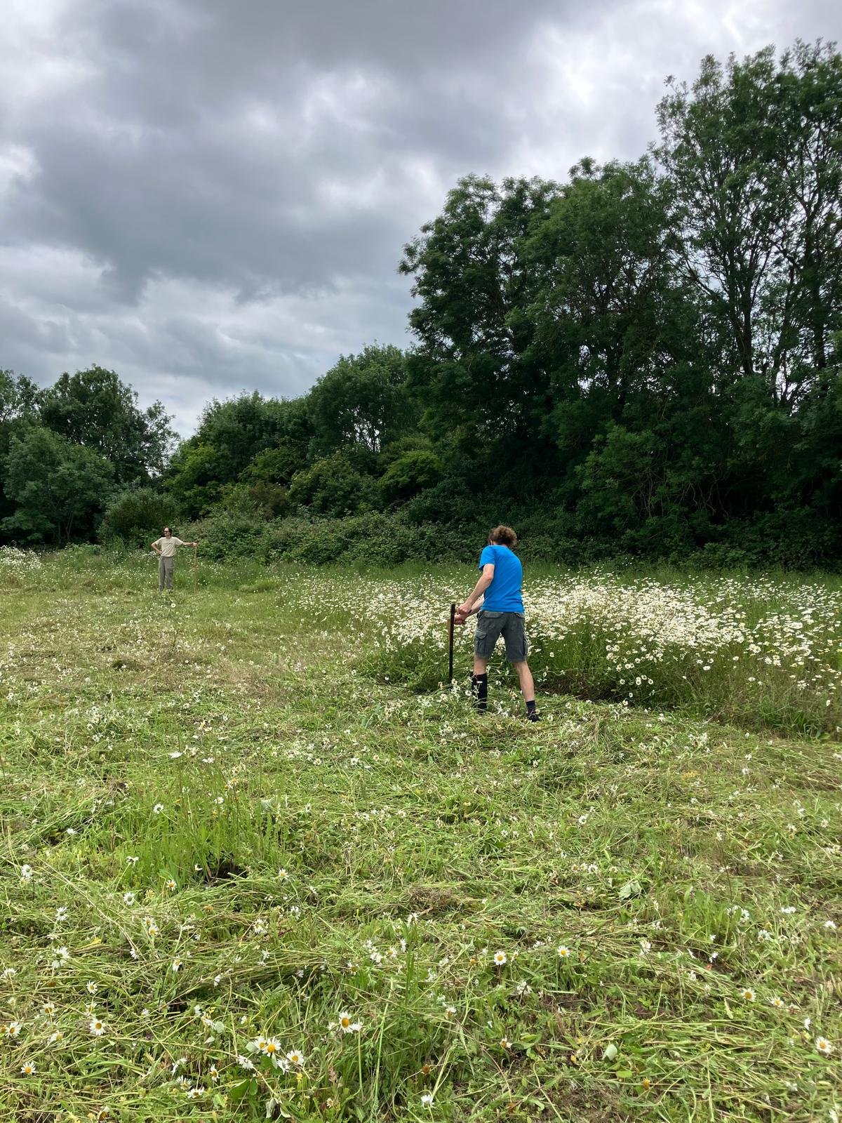 Scything the meadow... 