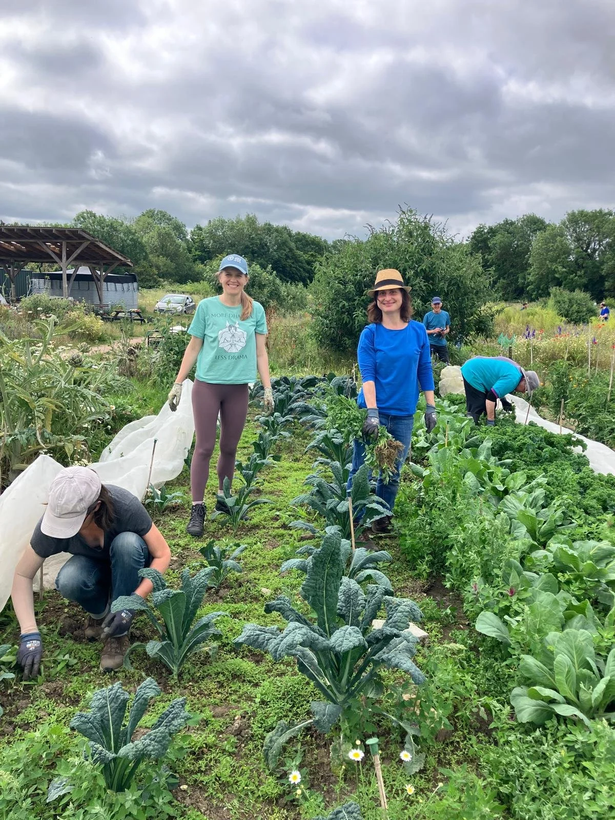 Hard at work in the brassica patch