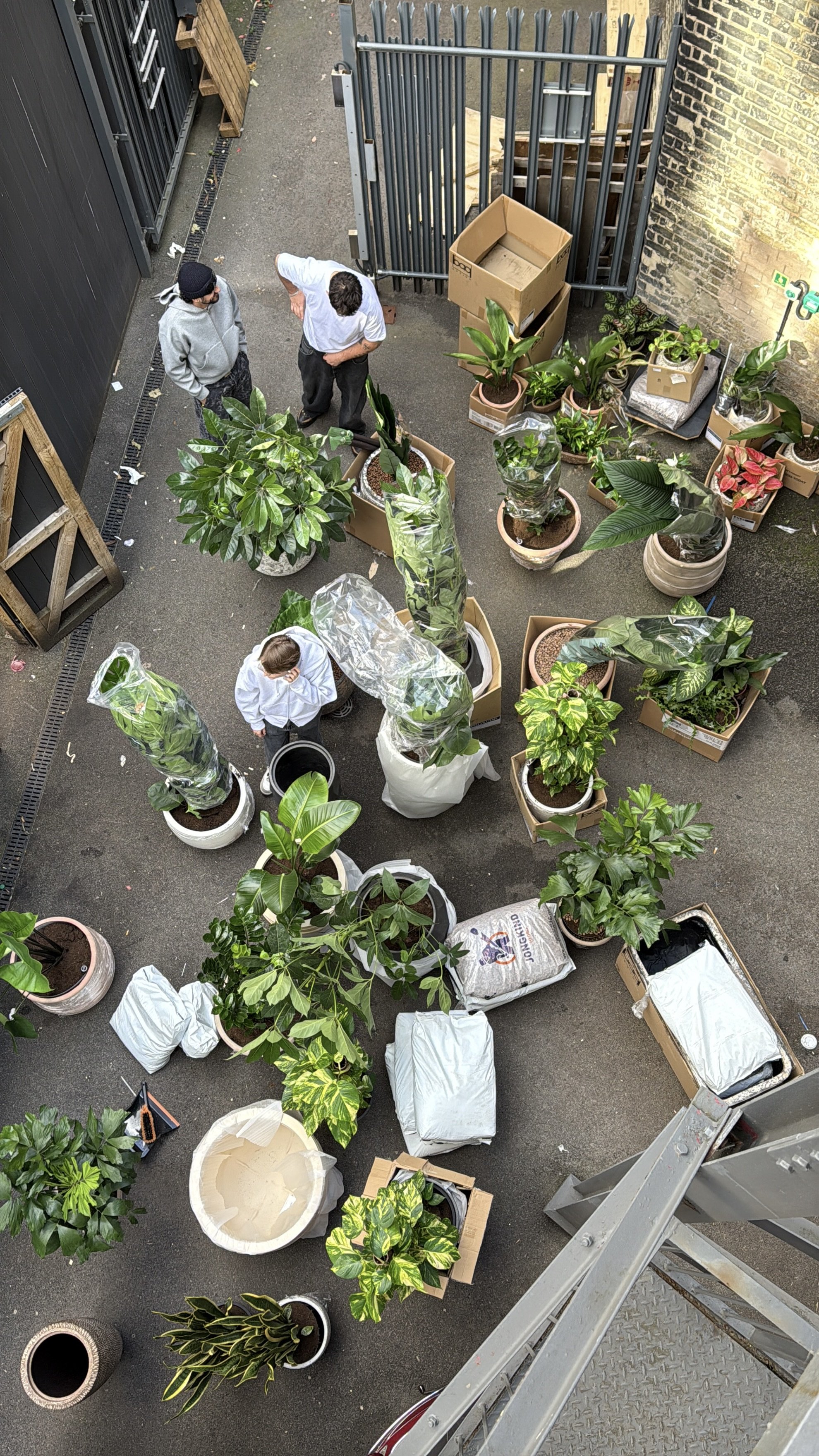 People working with potted plants outside on a paved area, surrounded by boxes and gardening supplies.