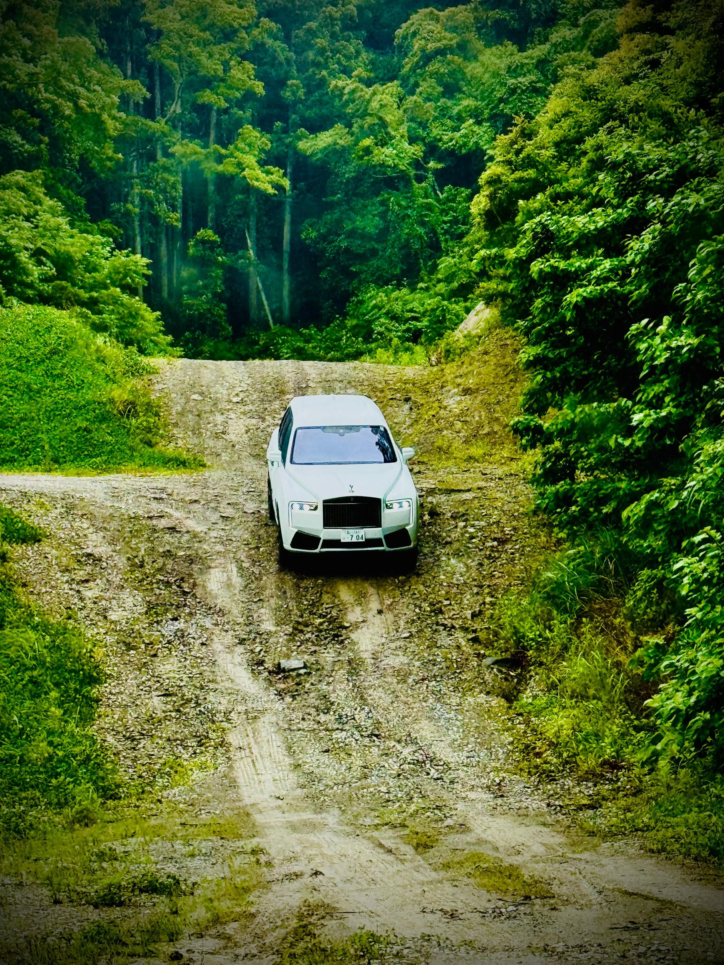 Rolls-Royce Cullinan driving on dirt and gravel road in a dense green forest with tall trees on either side.