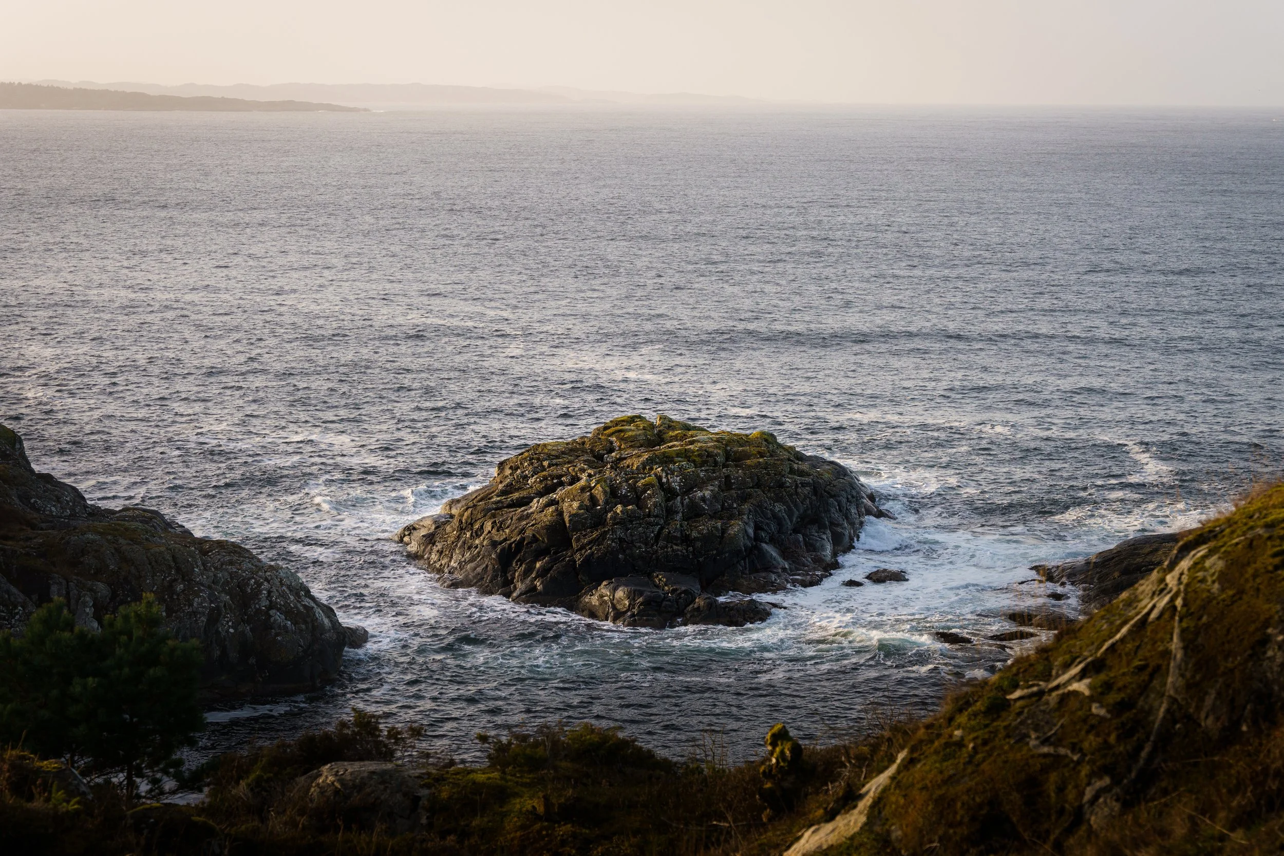 _DSC8971 2.JPG