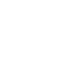 Ibis Styles logo on a white background.
