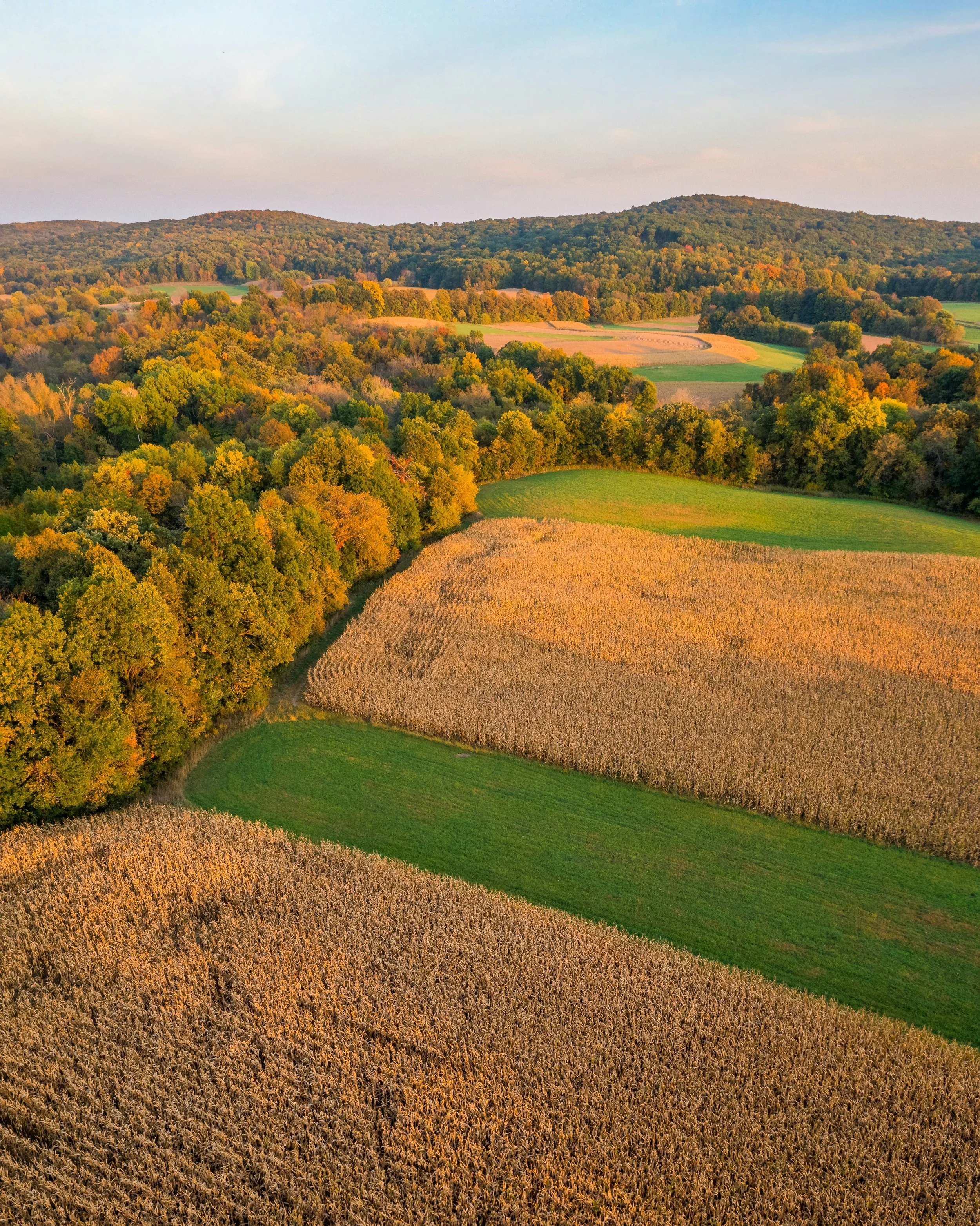 Aerial view of a rural landscape with fields and dense forests during sunset.
