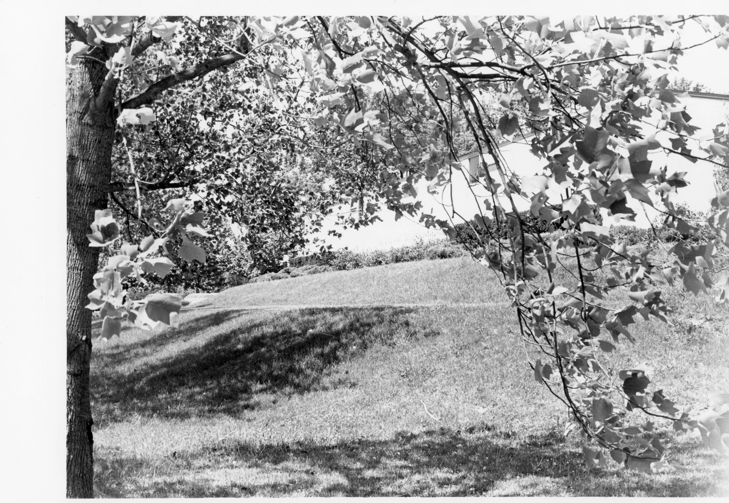Country Day Front of School, Spring 1975