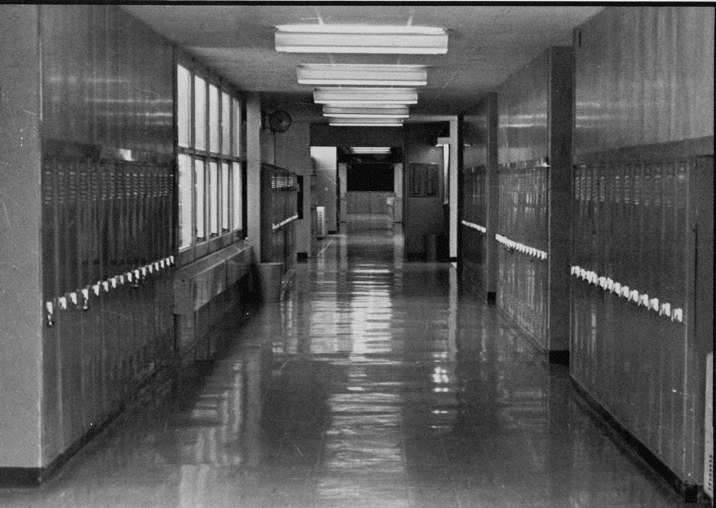 The Hallway