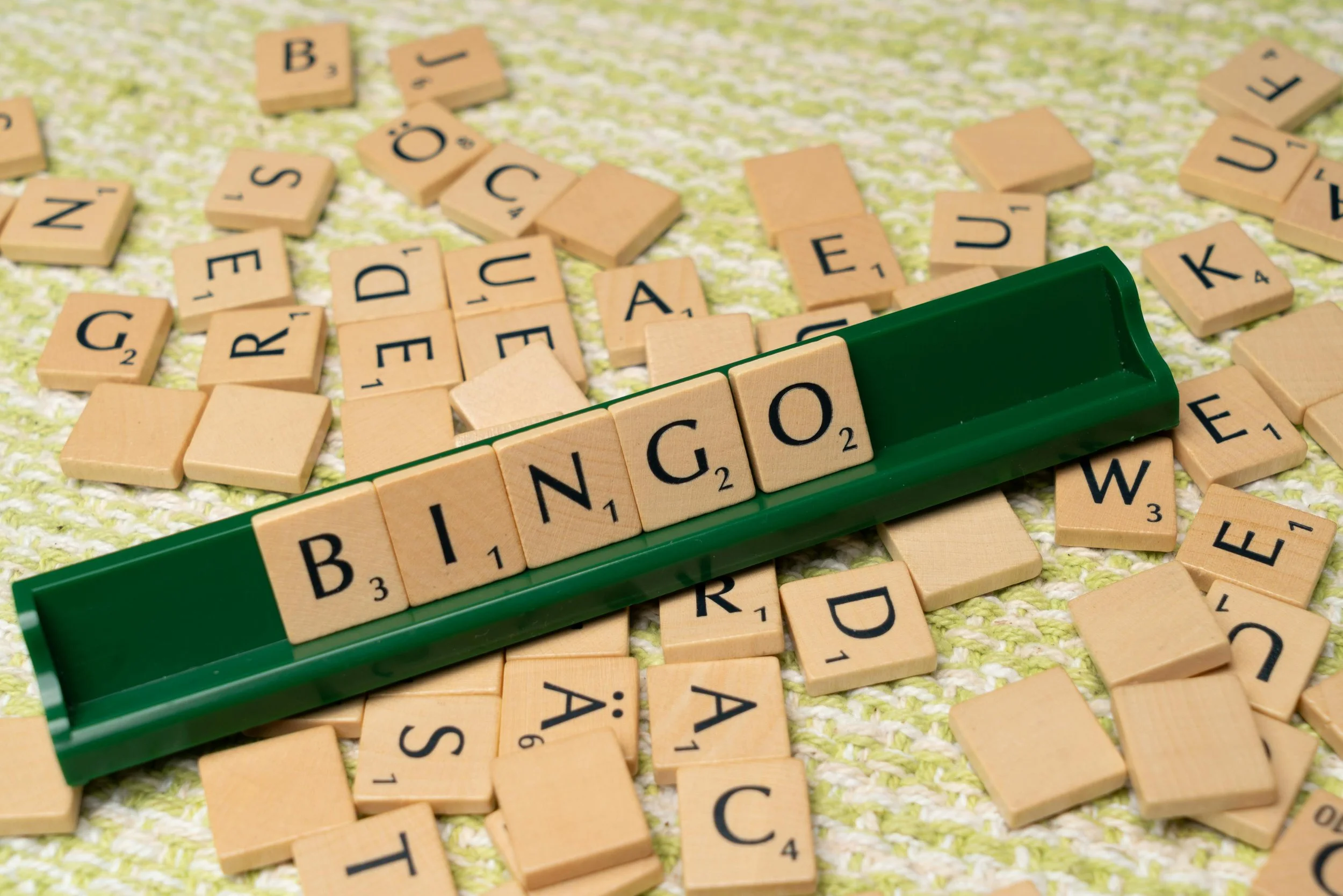 old school house bingo