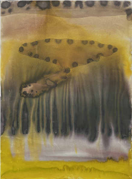 Emma Larsson_Read the Omens_2025_Washed ink and watercolor on cotton paper_76x56cm.png