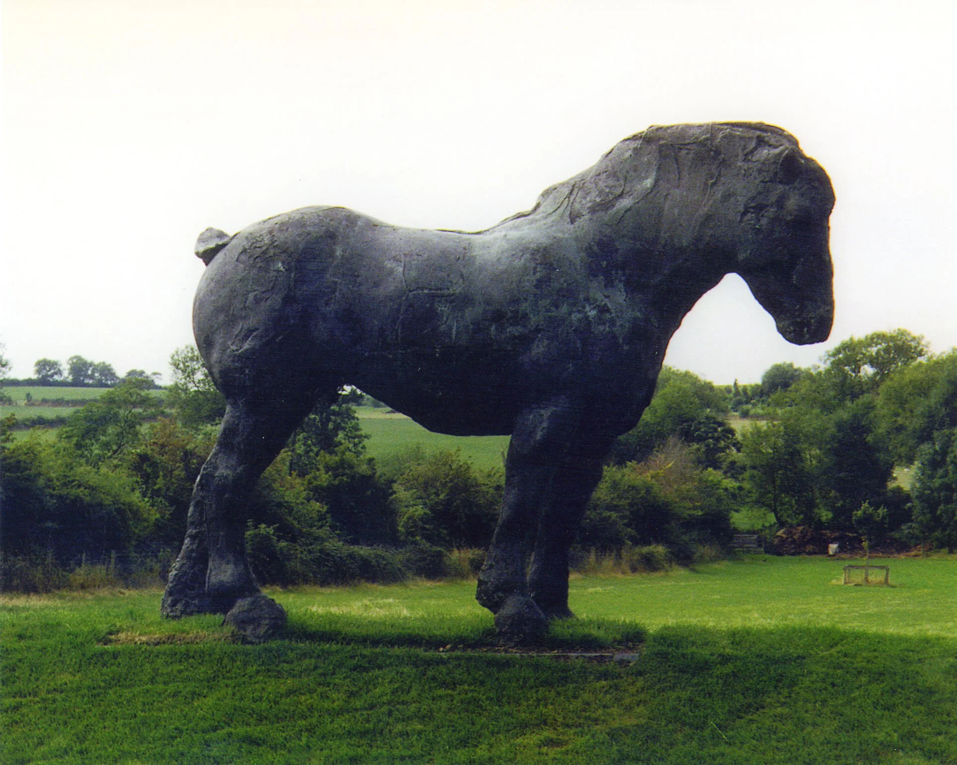 Large bronze sculpture by sculptor Brian Taylor of a horse standing outdoors in a grassy field with trees in the background.