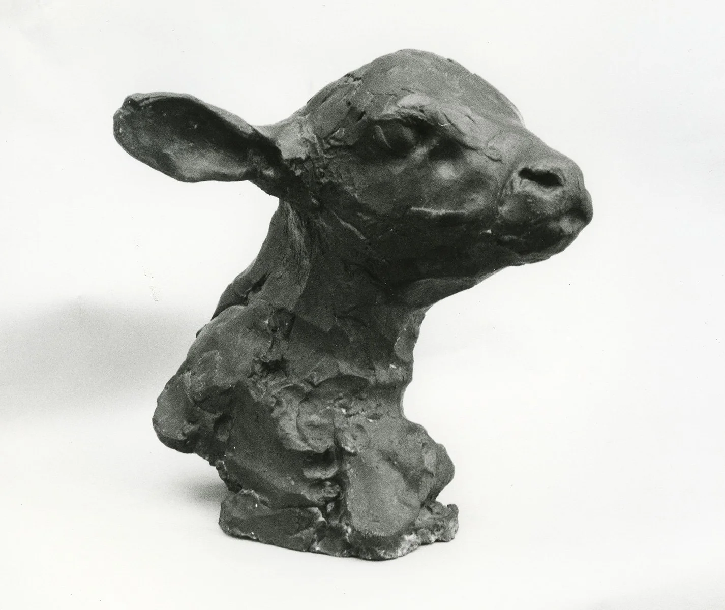 33. Calf's Head, Bronze, Circa 1973, 39 x 41 x 41 cm