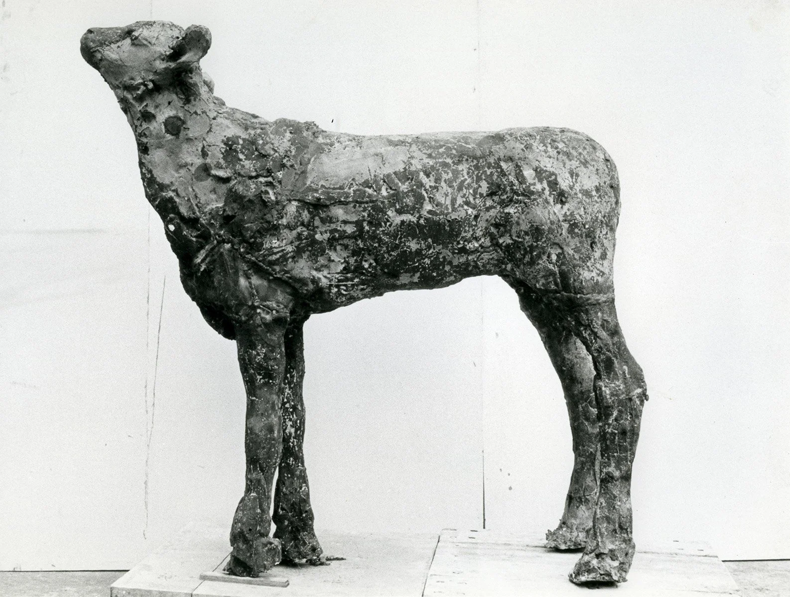 5. Standing Calf, Bronze, 1973, 120 x 115.5 x 33 cm