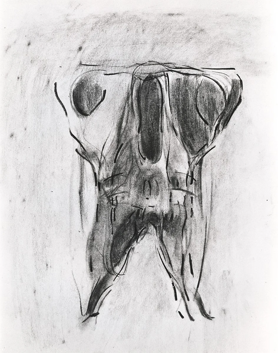 106. Skull 4 Front View, 76 x 55 cm, 1985