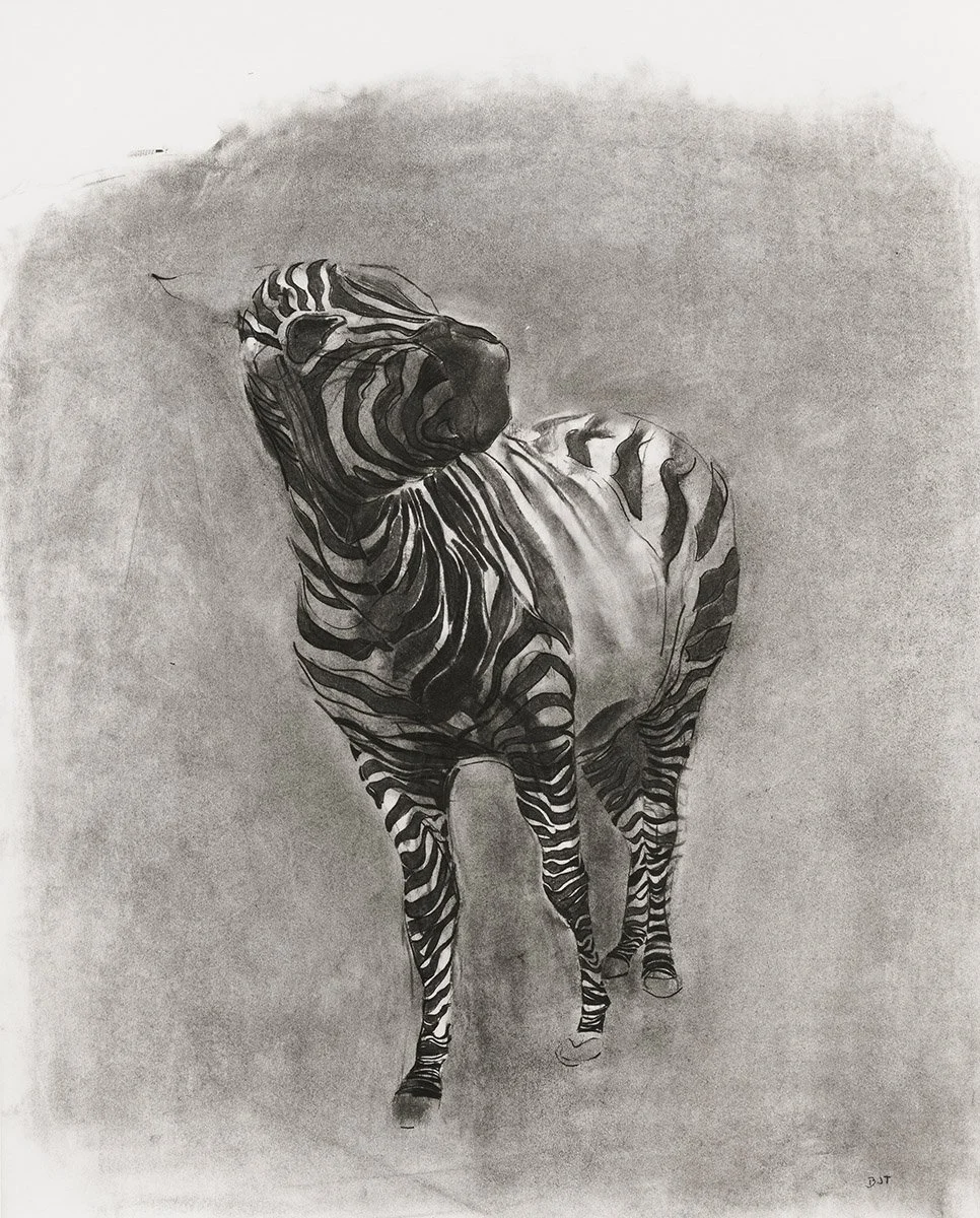 168. Zebra 4, 83.5 x 58.5 cm, 1990, NFS