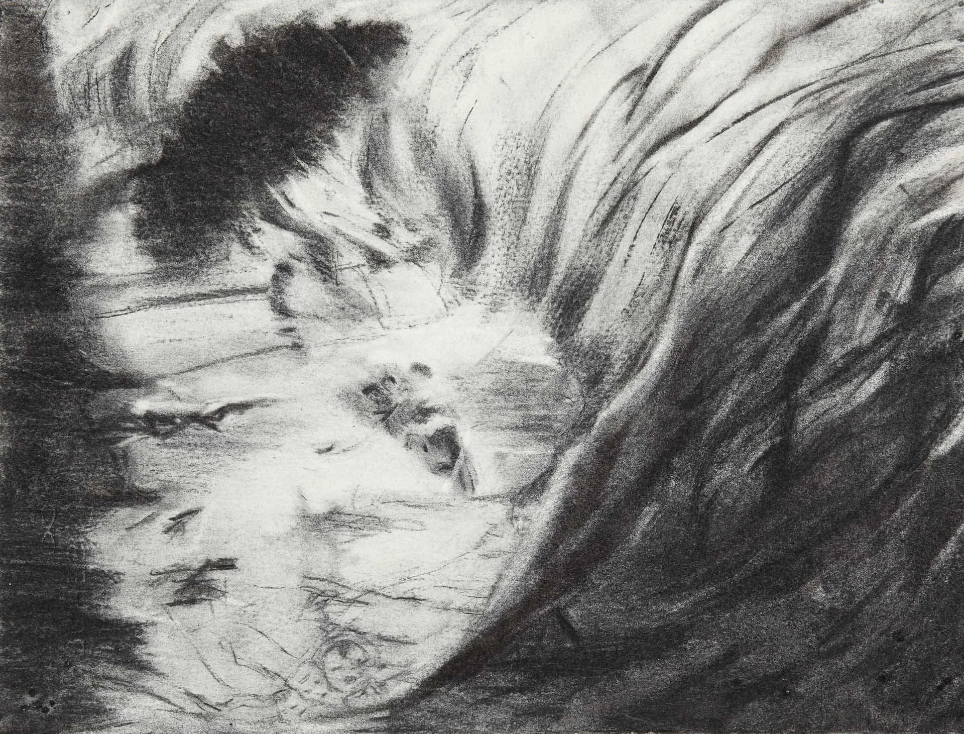  Fire in the water 2012 charcoal 29 x 40 cm 