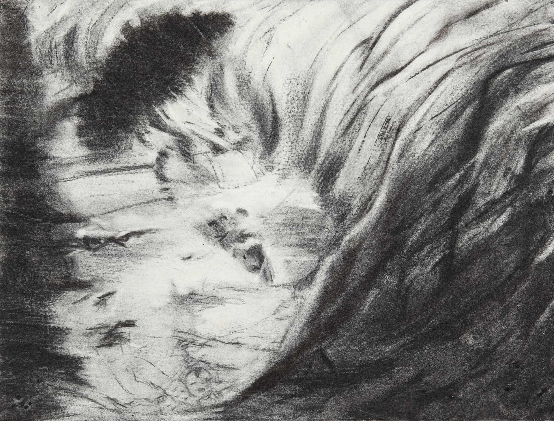  Fire in the water 2012 charcoal 29 x 40 cm 