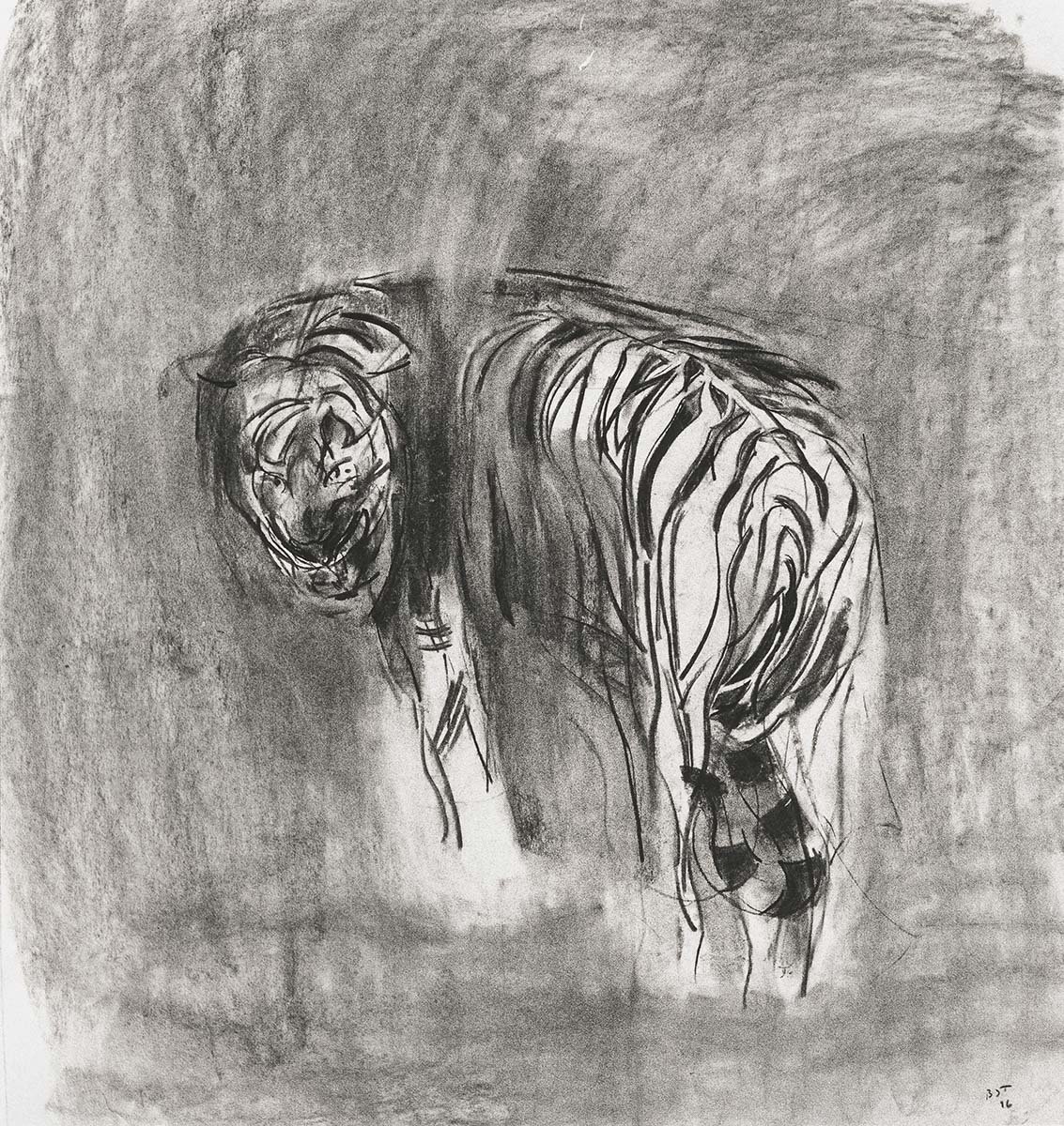 167. Tiger 2, 1 m x 1 m, 1990, NFS