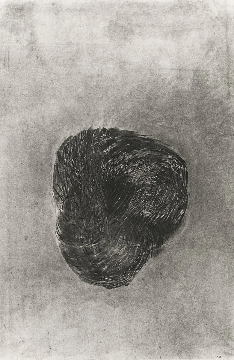 136. Dark Abstract Sunflower 16, 31 x 84 cm, 1986
