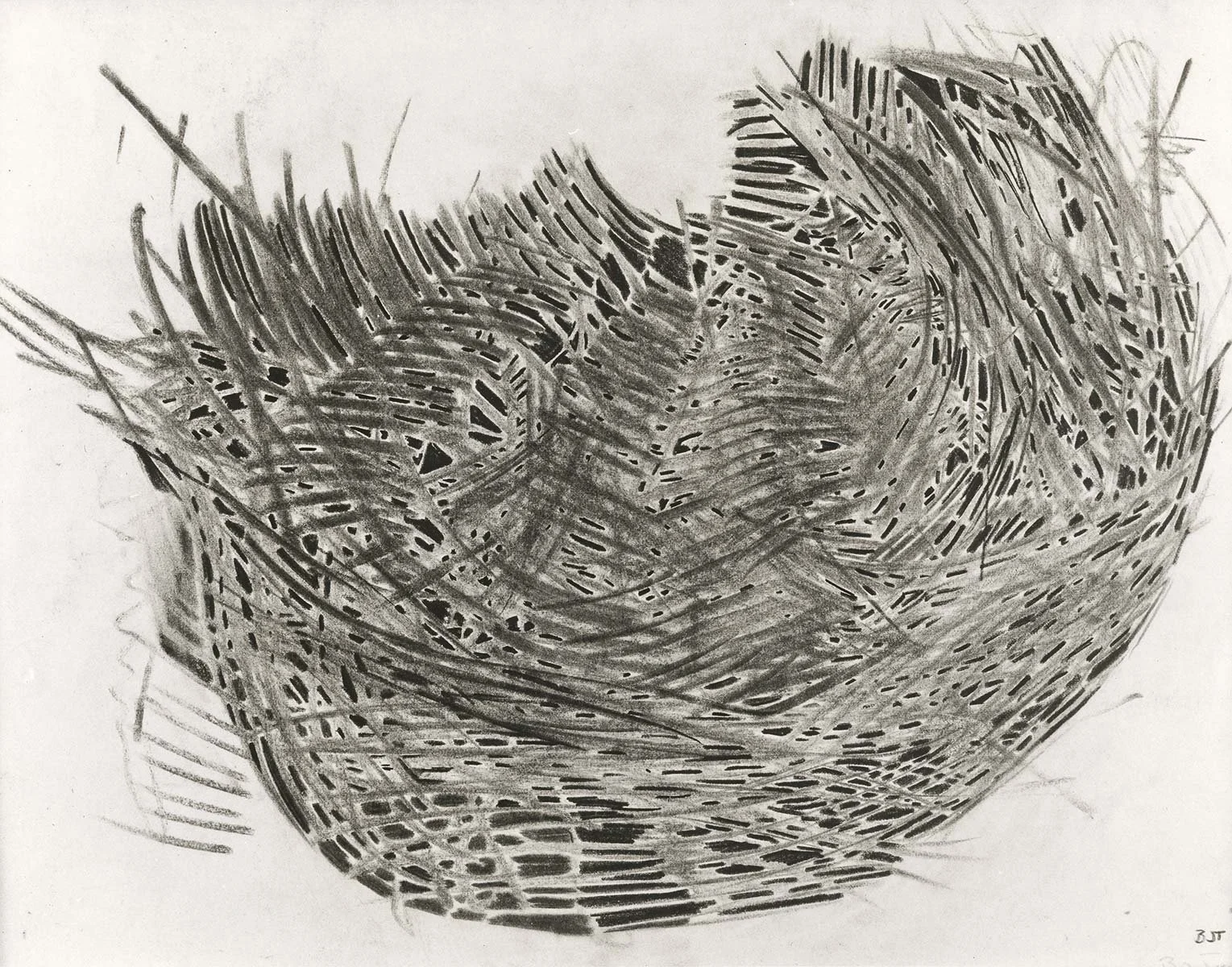 154. Basket Weave from Sunflower Head 7, 110 x 86.5 cm 1965