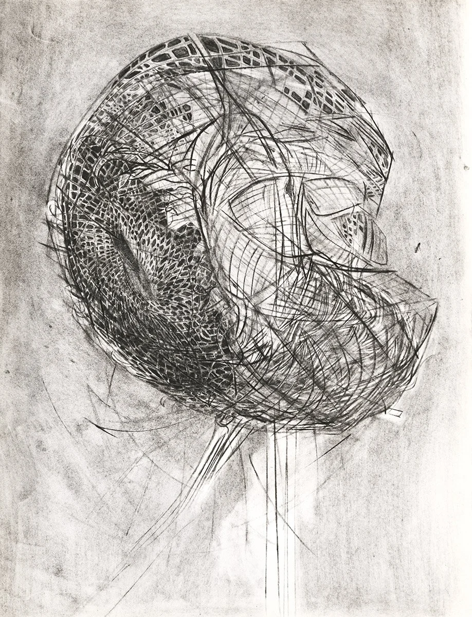 149. Abstract Sunflower Head 11, 76 x 55.5cm, 1965, NFS
