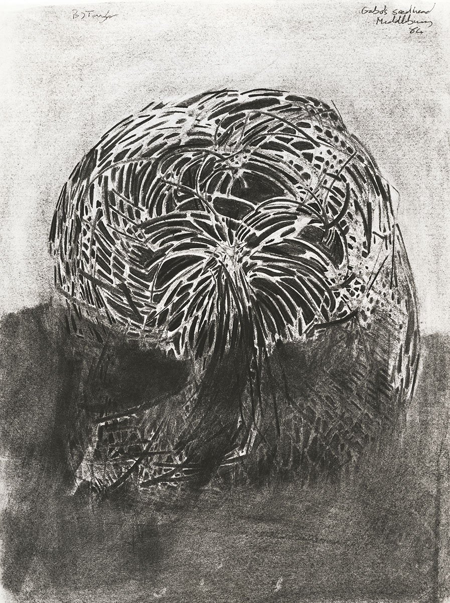 110. Seed head 3 after Naum Gabo, 61 x 46 cm, 1984