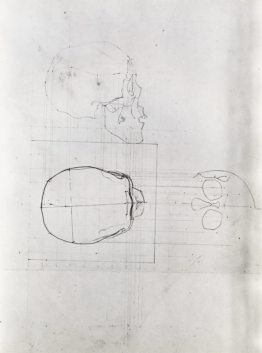 139. Skull, 3 Views, 76 x 55.5 cm, Circa 1970, NFS