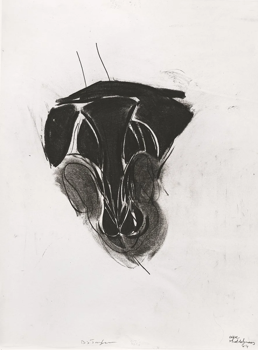 108. Baboon, 76 x 56 cm, 1984