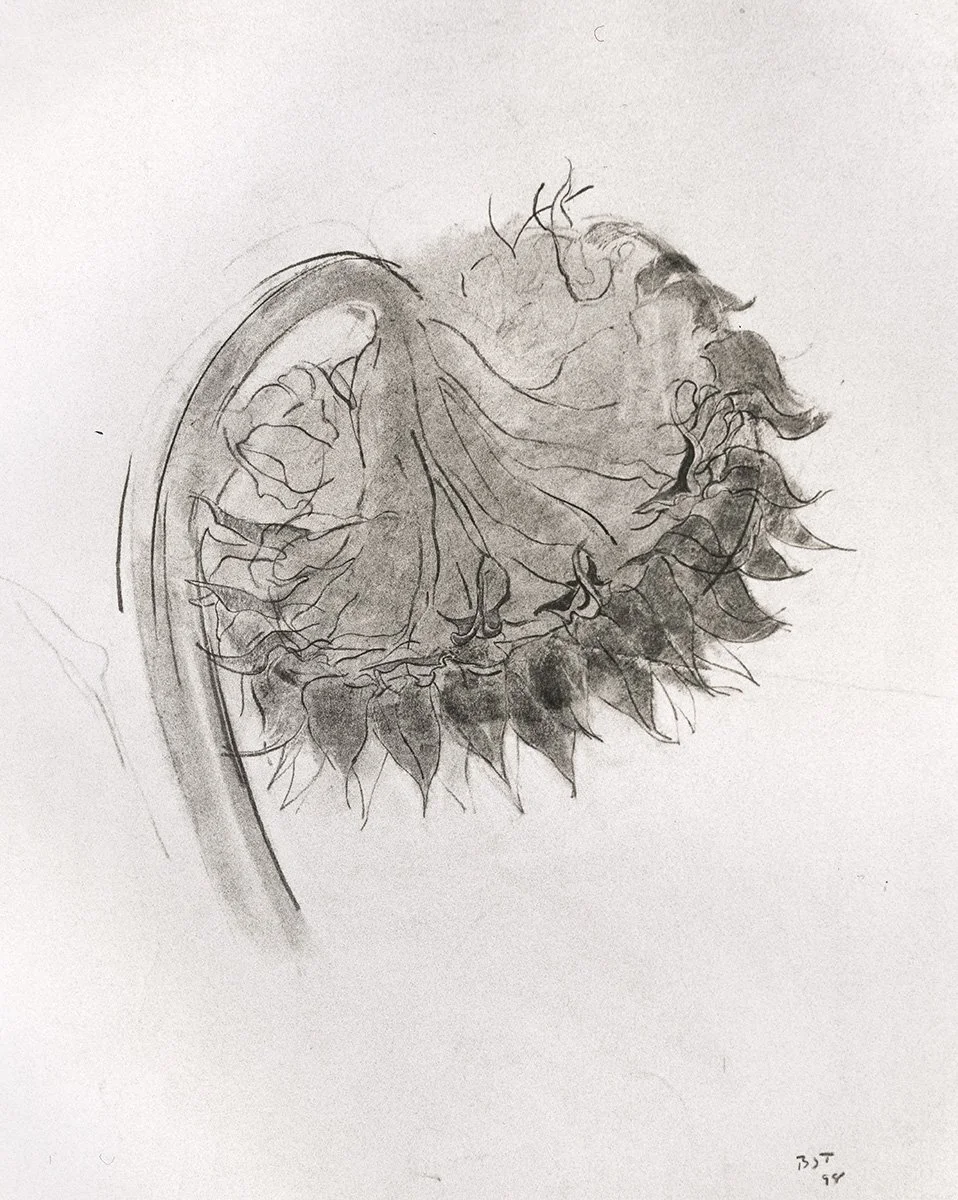 146. Sunflower 2, 105 x 86.5 cm, 1990