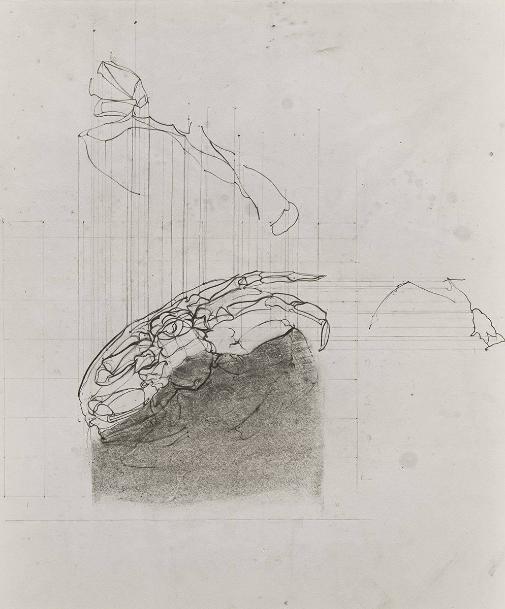 140. Crab, 3 Views, 40 x 34 cm, Circa 1970, NFS
