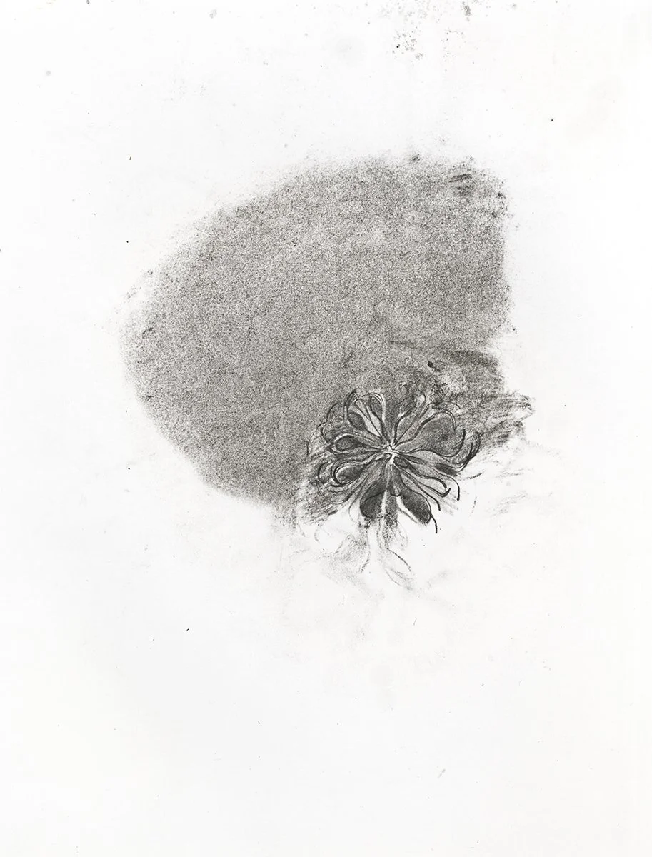 135. Early Flowers 25, 56 x 46 cm, Circa 1972, NFS