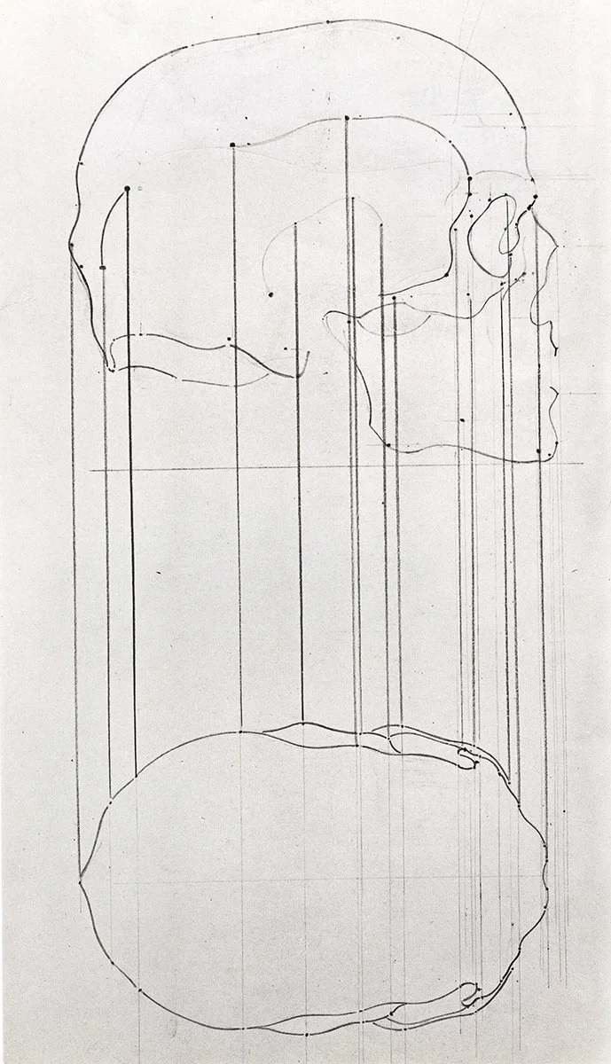 138. Skulls, profile and aerial views, 76 x 56 cm, 1970, NFS
