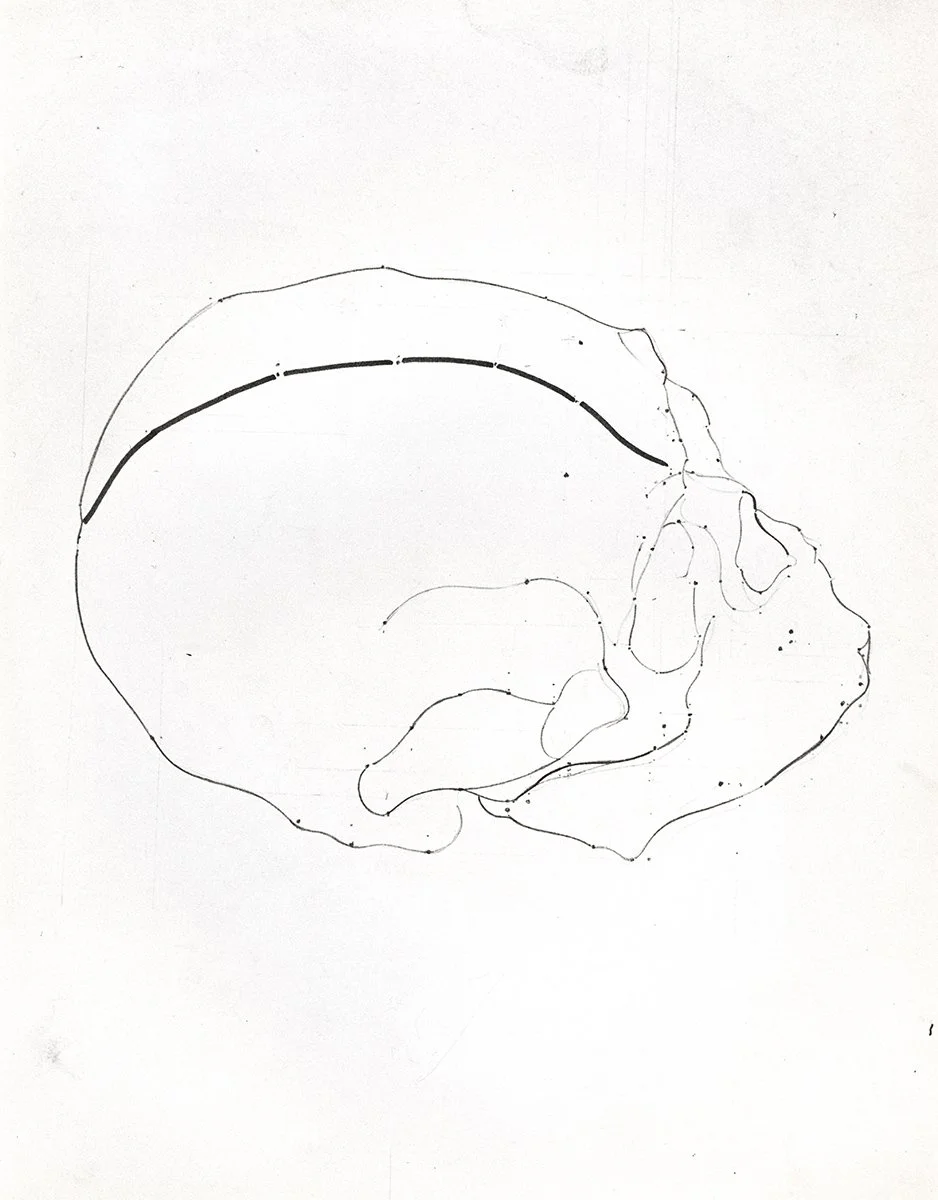137. Skull 4 Seen from Above, 76 x 55.5 cm, 1970, NFS