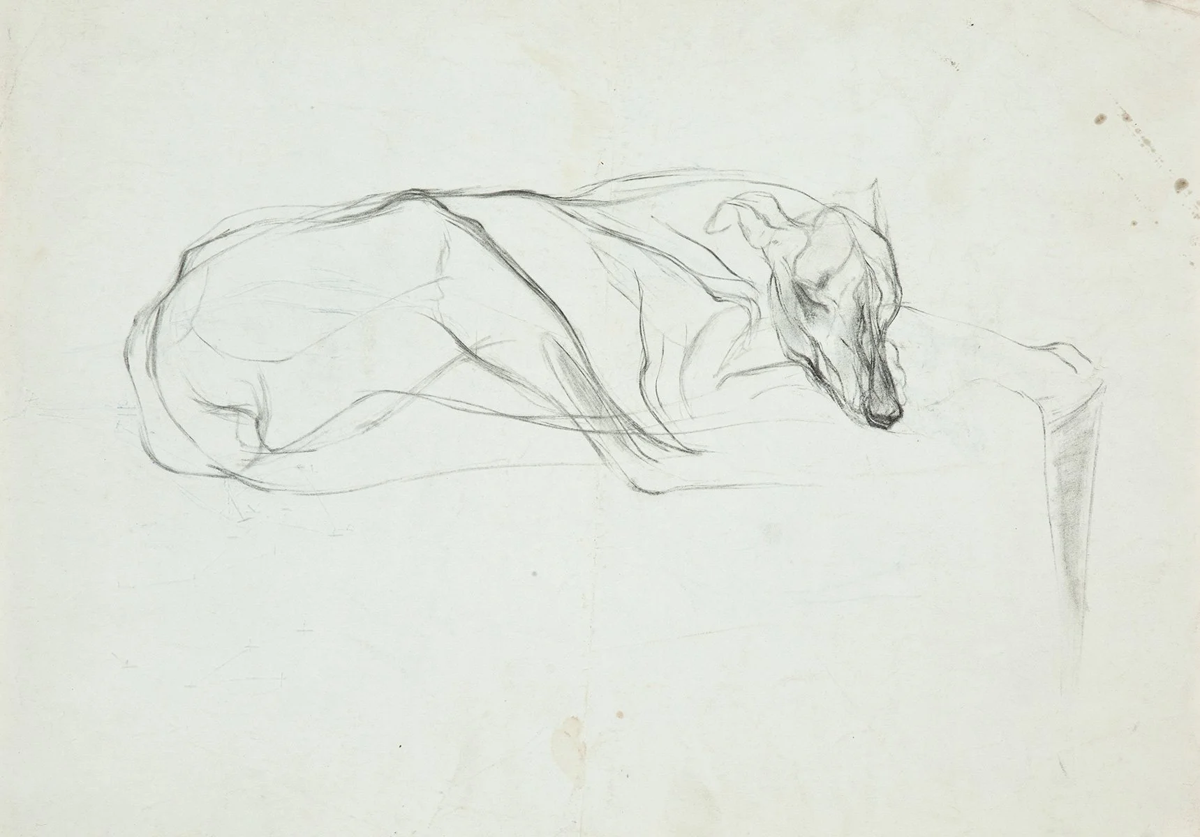 143. Billy the Greyhound, 71 x 84 cm, 1960, NFS