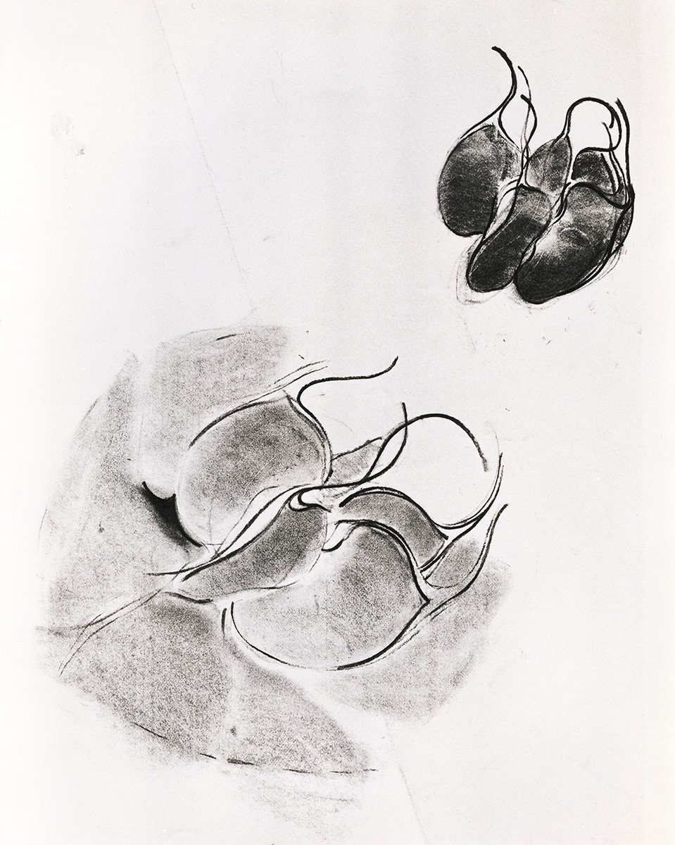 130. Early Flowers 3, 76 x 56 cm, Circa 1968